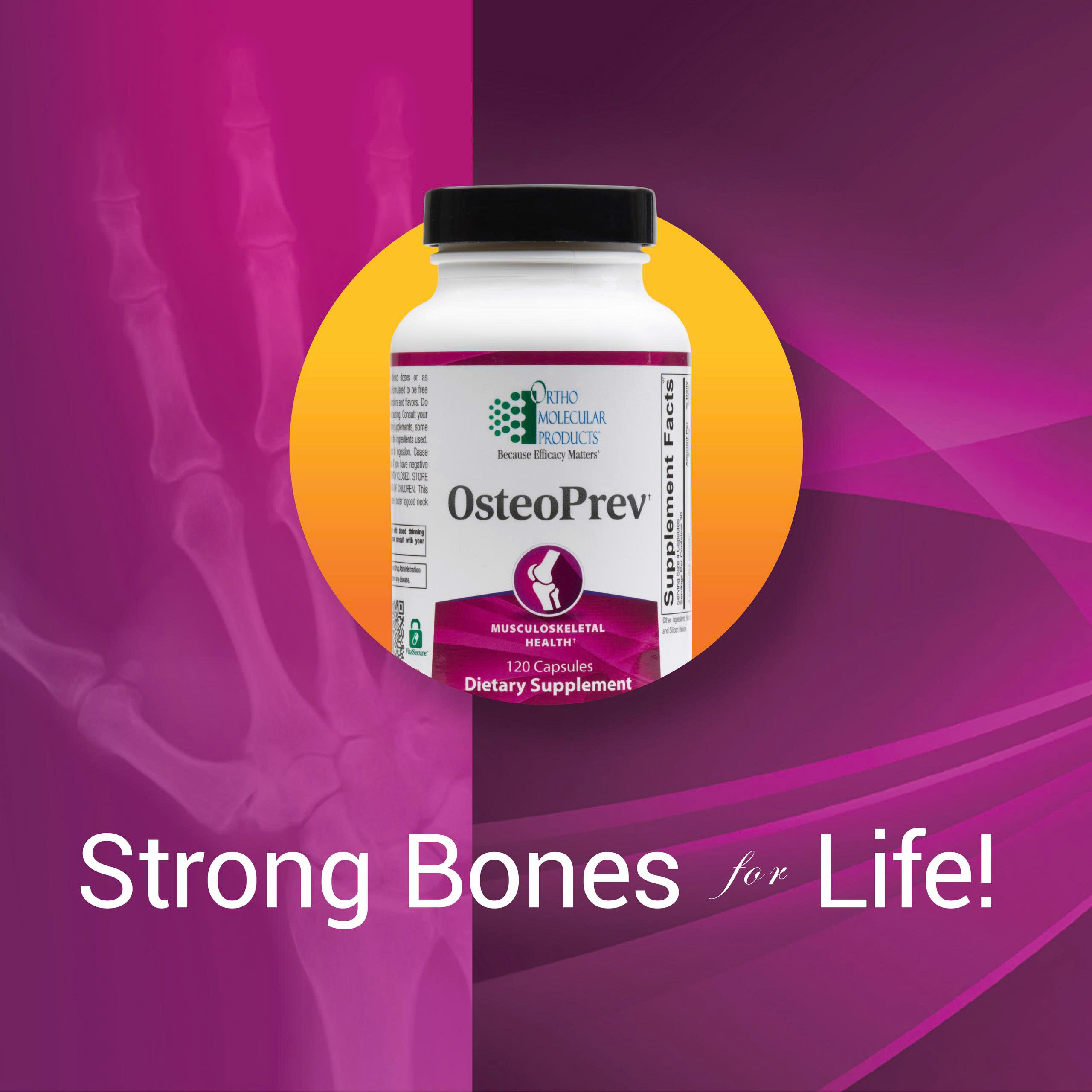 Bone-muscle Store -Bone-muscle Store z6698450680772 552ba4148714033e8fc7cf981a3abe54 1